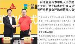 西卡收購(gòu)藍(lán)盾，德生破產(chǎn)重組，資本熱潮下的防